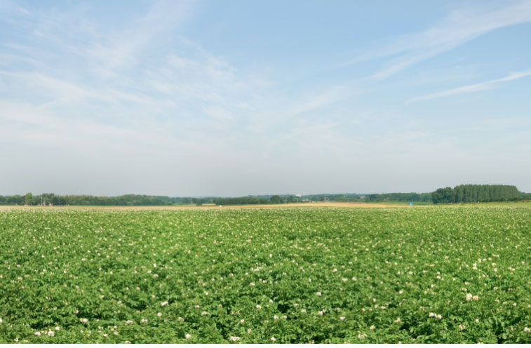landgoed de marehoek