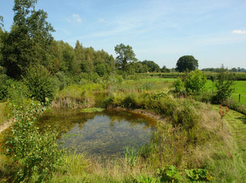 landgoed_de_horsten