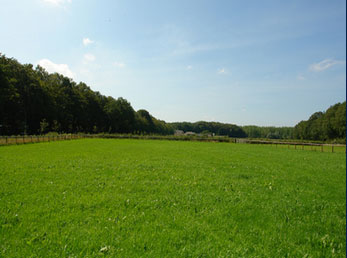 landgoed_de_horsten