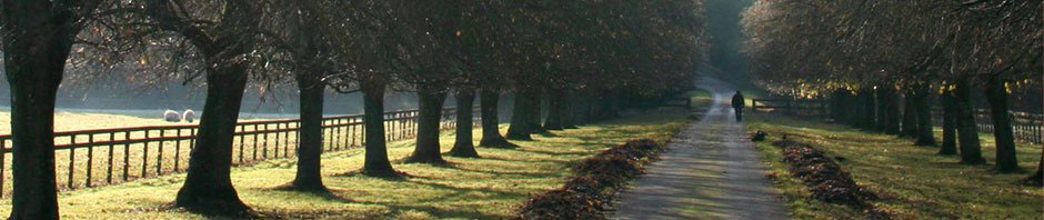 Landgoed Kopen